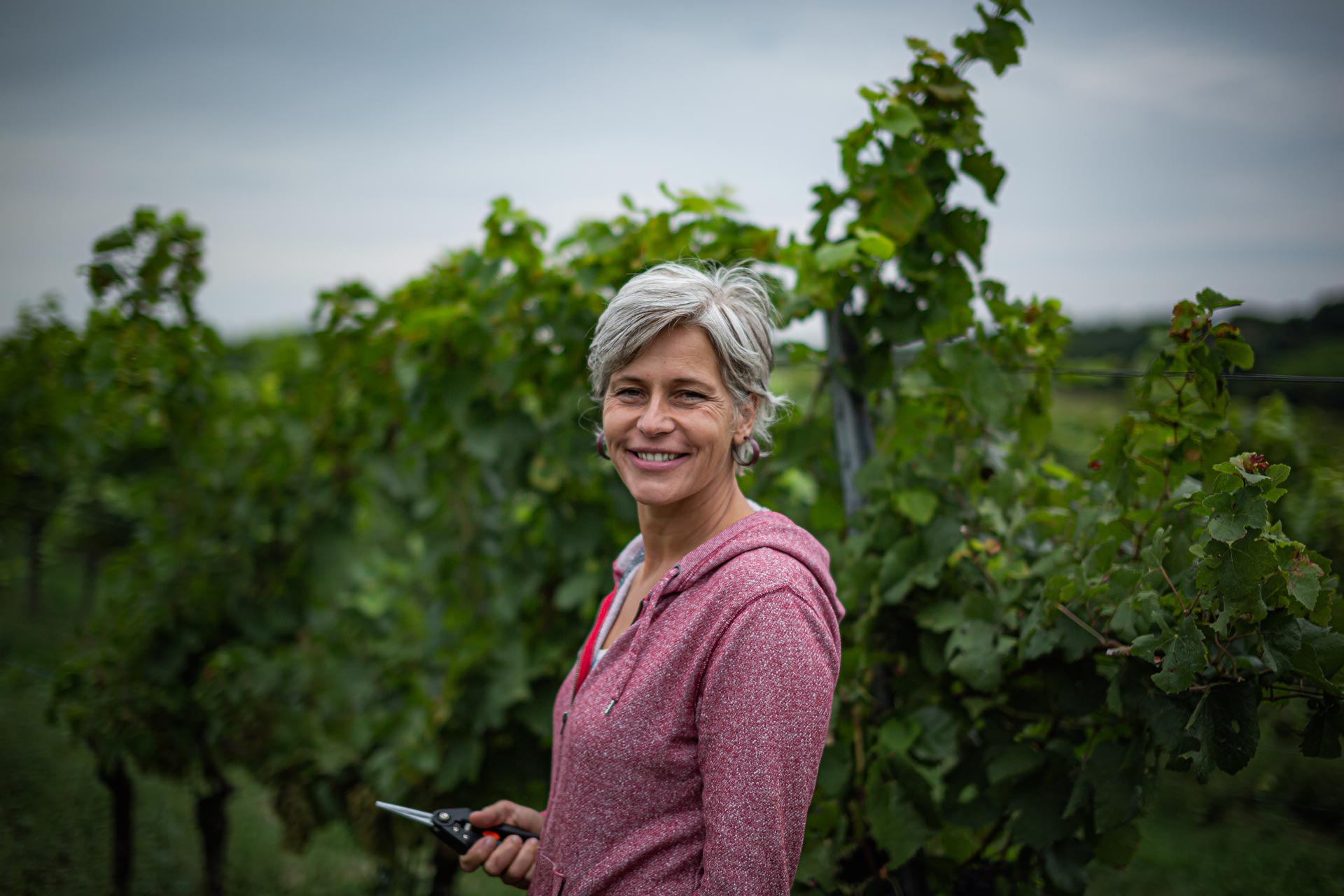 Dóka Éva szüretel