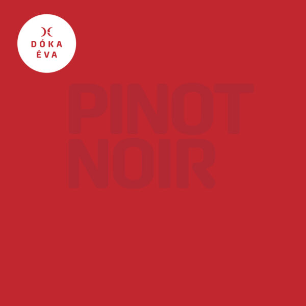 Pinot noir 2021 - Image 2