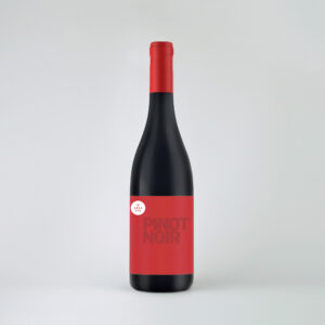 Pinot noir 2021