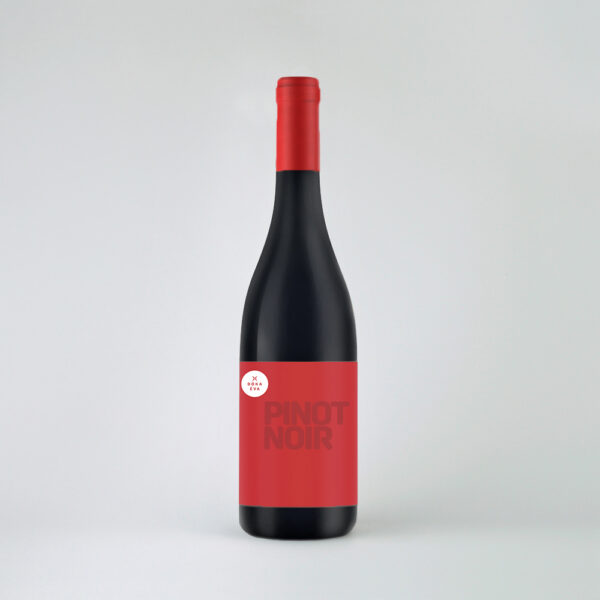 Pinot noir 2021