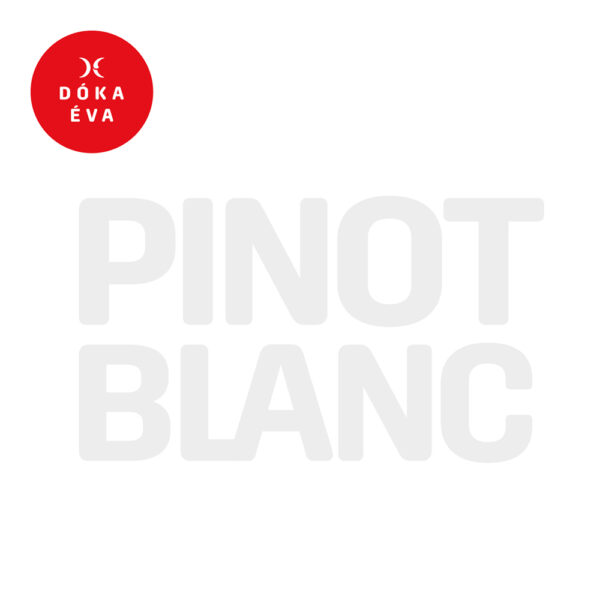 Pinot blanc 2022 - Image 2